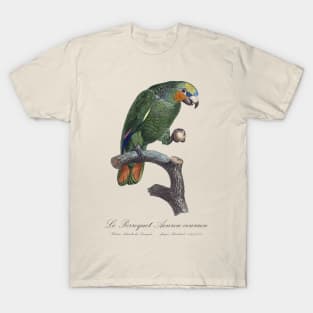 Orange-Winged Amazon Parrot  / Le Perroquet Aourou-Couraou - 19th century Jacques Barraband Illustration T-Shirt